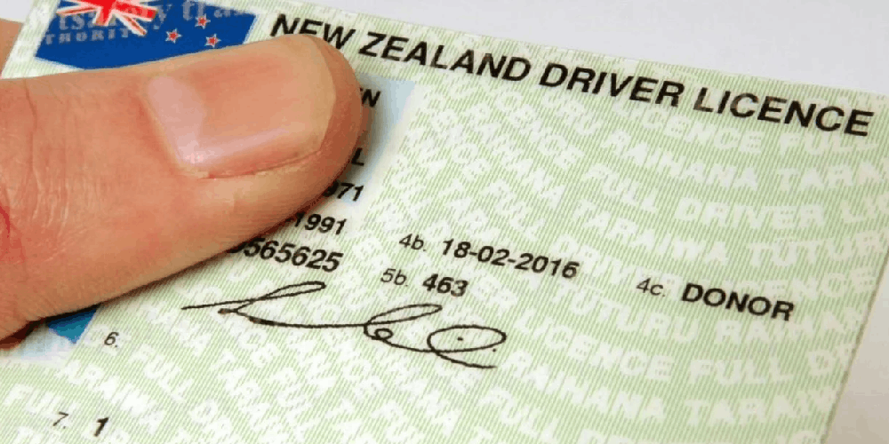 New Zealand licensing appetite still strong
